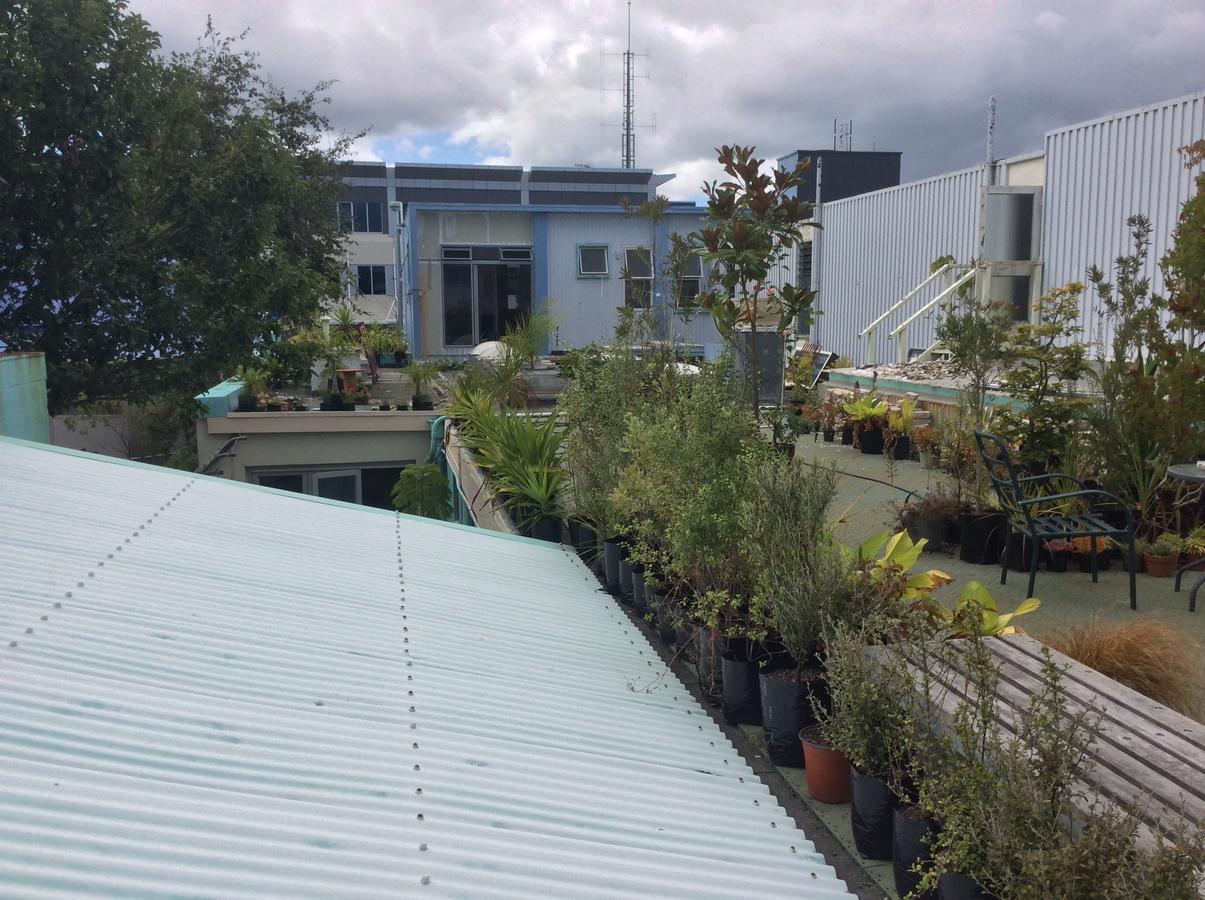 The Cell Block Backpackers Albergue Whangarei Exterior foto